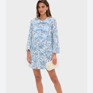 Tuckernuck hyacinth house dress